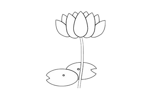 儿童学画荷花简笔画的画法