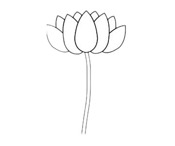 儿童学画荷花简笔画的画法