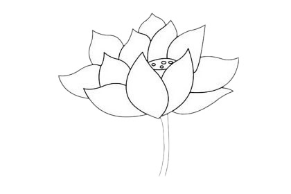 一组荷花的简笔画大全(荷花简笔画的画法)