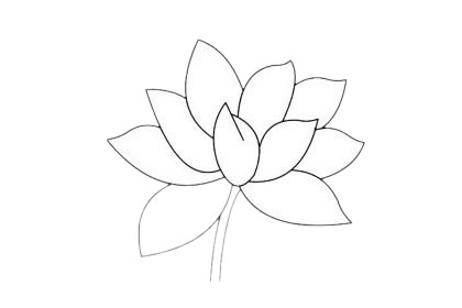 一组荷花的简笔画大全
