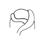 美丽的玫瑰花简笔画步骤教程