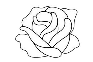 美丽的玫瑰花简笔画步骤教程
