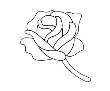 美丽的玫瑰花简笔画步骤教程