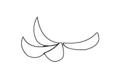 一步步教你画简单的菊花