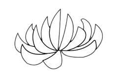 一步步教你画简单的菊花