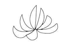 一步步教你画简单的菊花