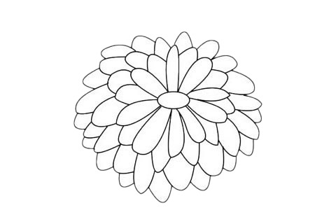 一组关于菊花的简笔画大全