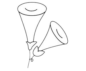 一步步教你画简单的牵牛花