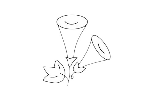 一步步教你画简单的牵牛花