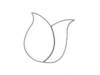 郁金香简笔画步骤图解教程