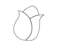 郁金香简笔画步骤图解教程