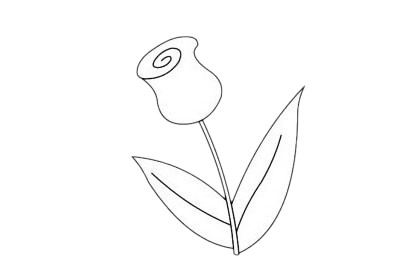 一组关于郁金香的简笔画大全