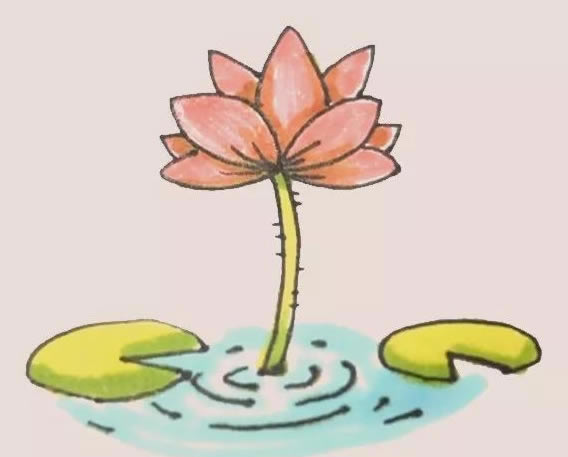 漂亮的水彩荷花简笔画(超简单水彩荷花)