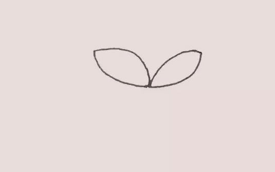 漂亮的水彩荷花简笔画 漂亮的水彩荷花简笔画