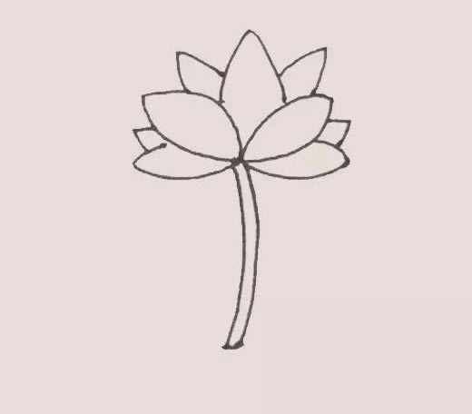 漂亮的水彩荷花简笔画 漂亮的水彩荷花简笔画