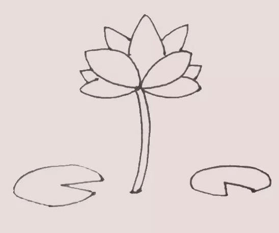 漂亮的水彩荷花简笔画 漂亮的水彩荷花简笔画
