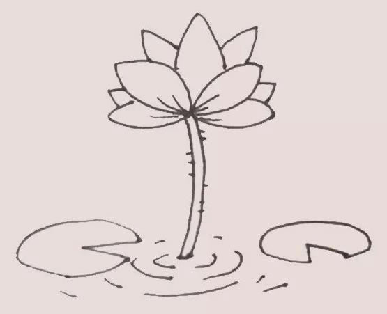 漂亮的水彩荷花简笔画 漂亮的水彩荷花简笔画