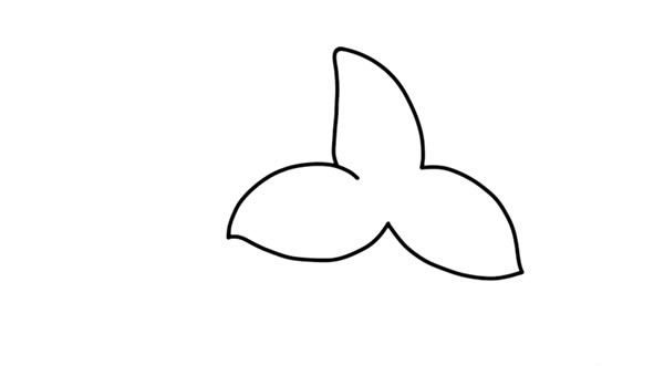 鲜艳的百合花简笔画教程