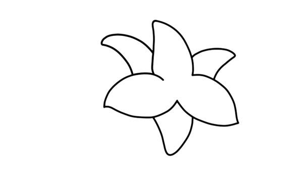 鲜艳的百合花简笔画教程