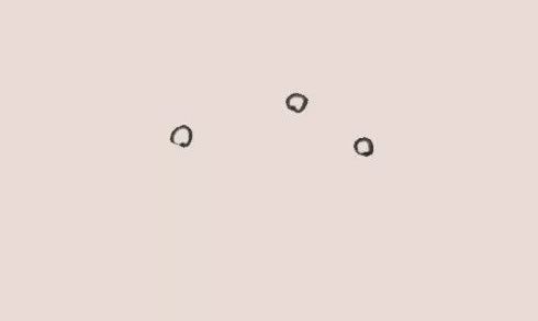 花瓶里的小花简笔画教程 花瓶里的小花简笔画教程