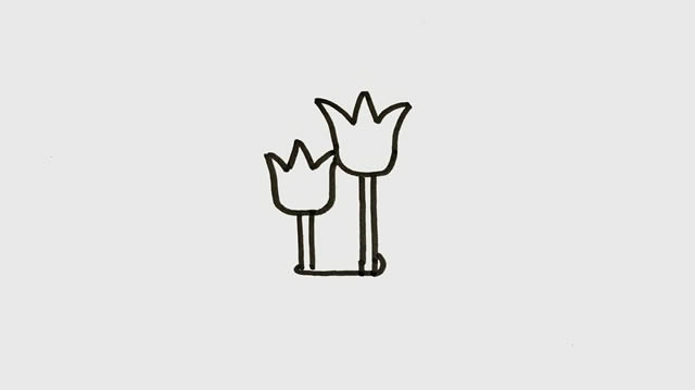 盆栽郁金香简笔画彩色画法 盆栽郁金香简笔画彩色画法