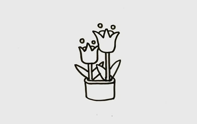 盆栽郁金香简笔画彩色画法 盆栽郁金香简笔画彩色画法