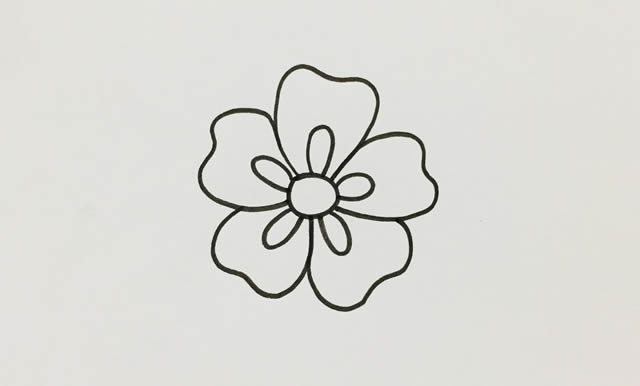 五瓣花简笔画画法步骤