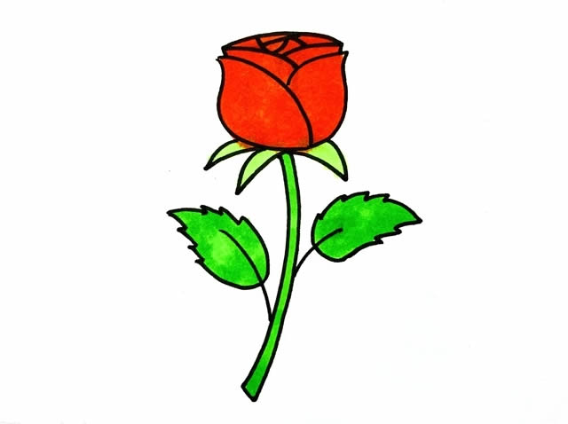鲜艳的玫瑰花简笔画步骤(鲜艳的玫瑰花简笔画怎么画)