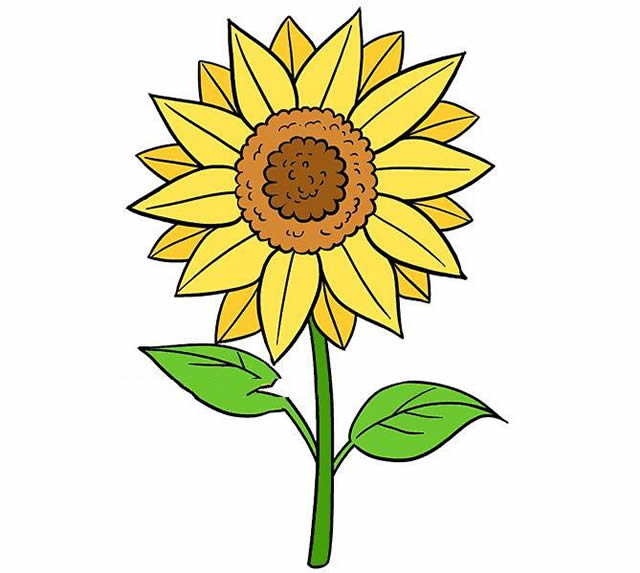涂色的向日葵简笔画(涂色的向日葵简笔画图片)