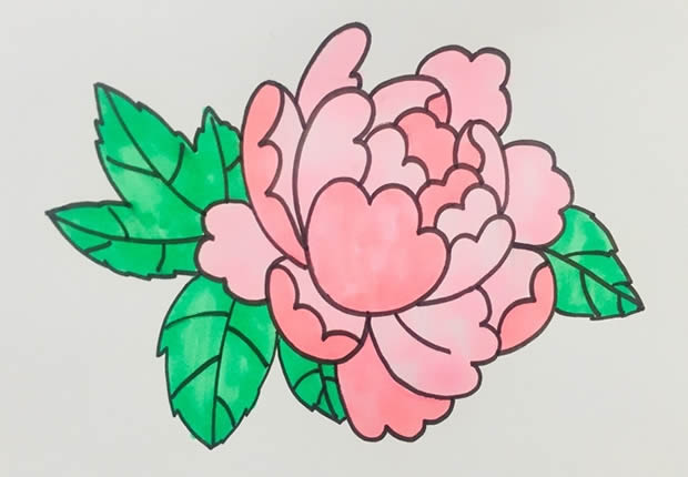 鲜艳漂亮的牡丹花简笔画(鲜艳漂亮的牡丹花图片大全)