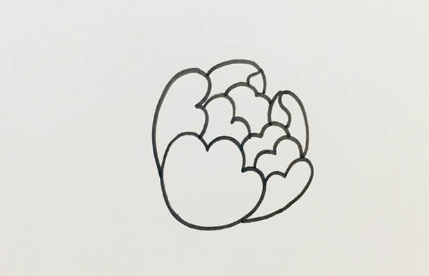 鲜艳漂亮的牡丹花简笔画