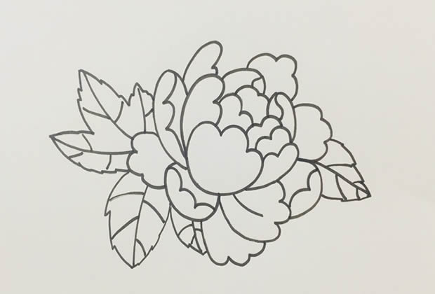 鲜艳漂亮的牡丹花简笔画