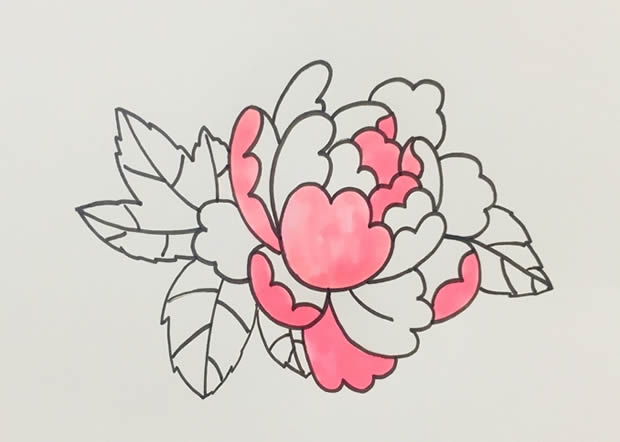 鲜艳漂亮的牡丹花简笔画