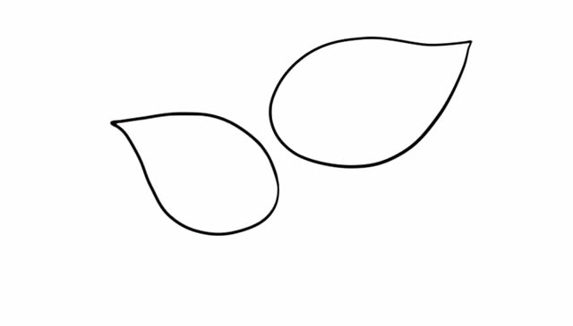 彩色的马蹄莲简笔画教程