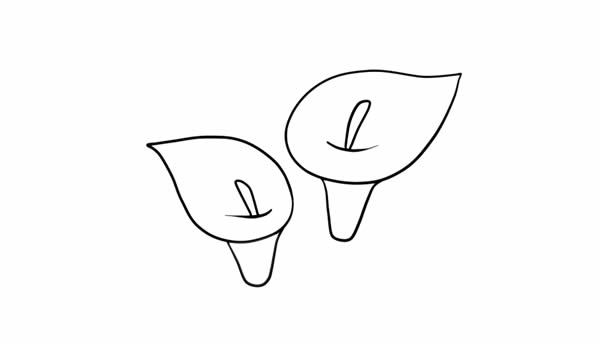 彩色的马蹄莲简笔画教程