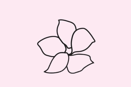 一组樱花的花朵简笔画大全