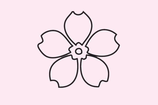 一组樱花的花朵简笔画大全