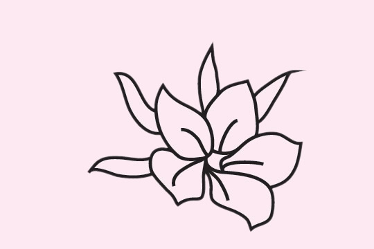 一组樱花的花朵简笔画大全