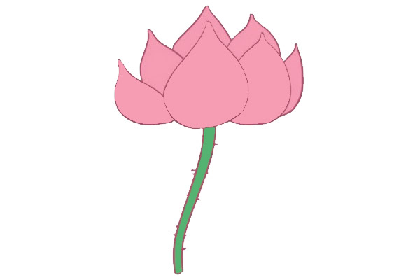 涂色的荷花简笔画(荷花涂色怎么涂好看视频)