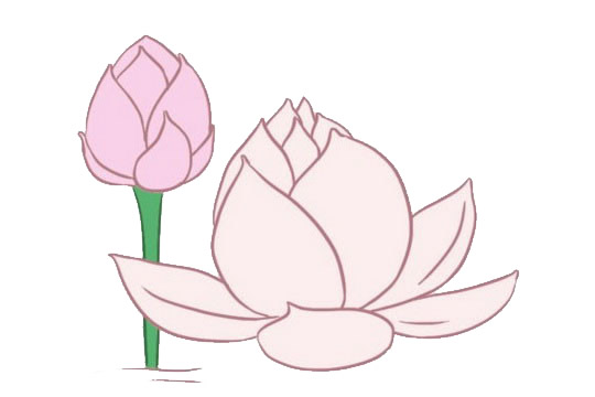 关于荷花的简笔画带颜色(关于荷花的简笔画简单又漂亮)