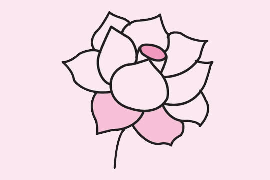 一组关于荷花的简笔画大全(关于荷花的画画作品简笔画)