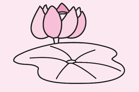 一组关于荷花的简笔画大全