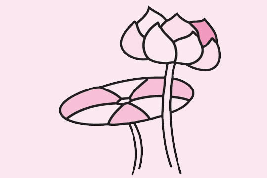 一组关于荷花的简笔画大全