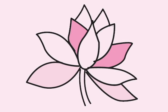 一组关于荷花的简笔画大全