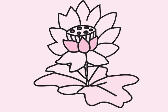 一组关于荷花的简笔画大全