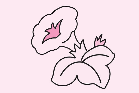 一组关于牵牛花的简笔画大全