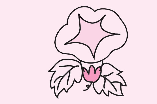 一组关于牵牛花的简笔画大全