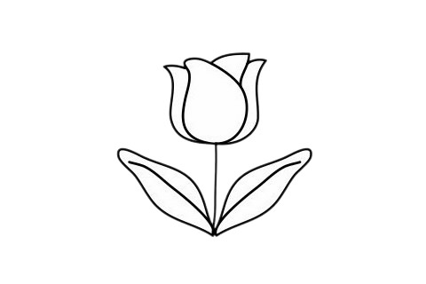 一步步教你画简单的郁金香(一步步教你画简单的人物)