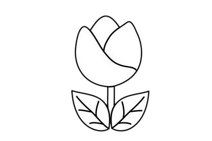 简单易学的郁金香简笔画(最简单的郁金香)