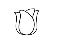 一步步教你画简单的郁金香